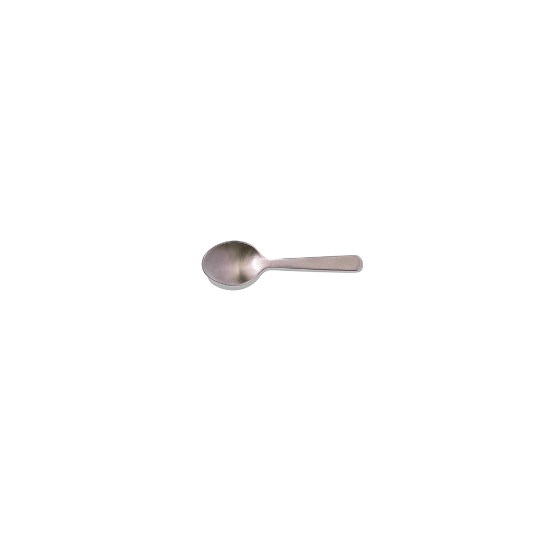 Picnic Set Spoon