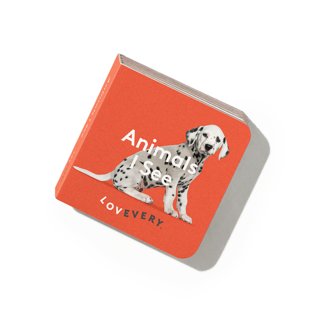 'Animals I See' Mini Book