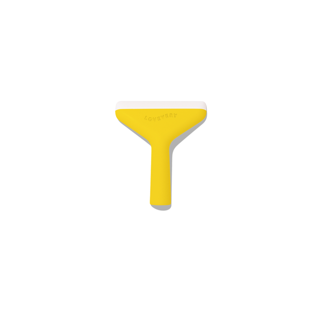 Squeaky Clean Squeegee